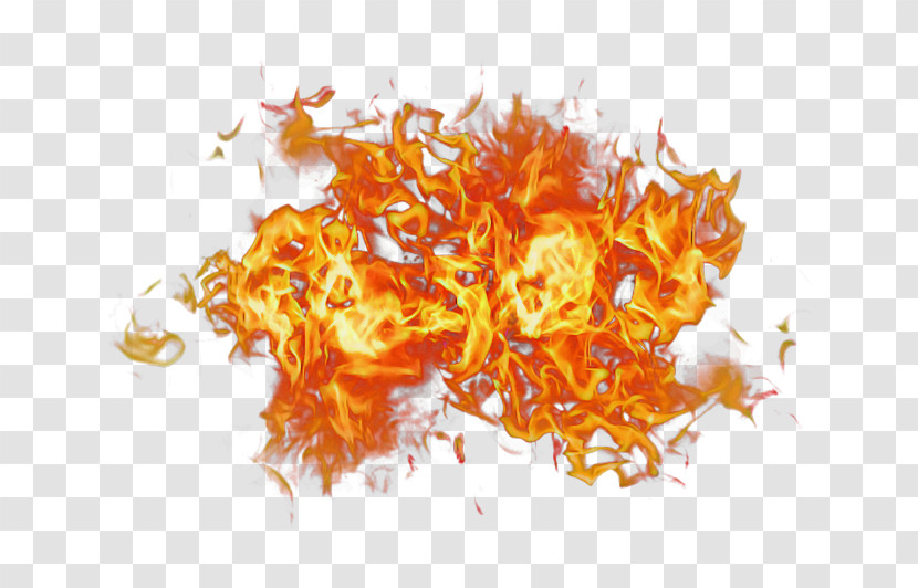 Orange Transparent PNG