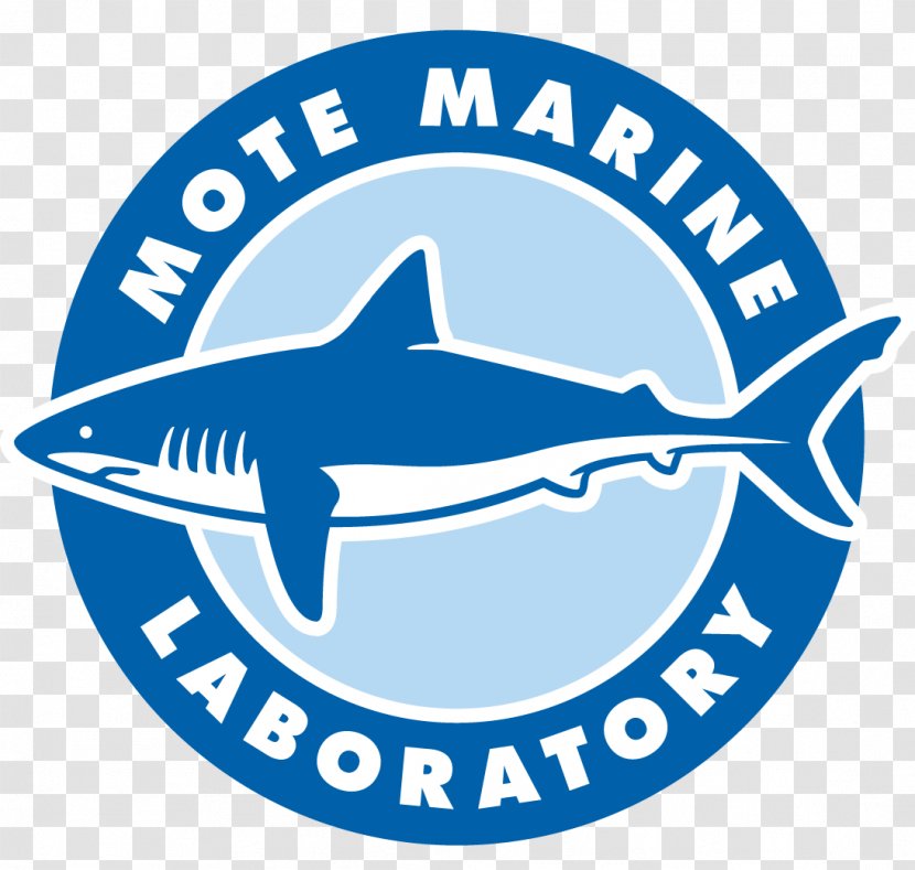 Mote Marine Laboratory & Aquarium Science Research - Aquaculture Of Coral - Logo Transparent PNG