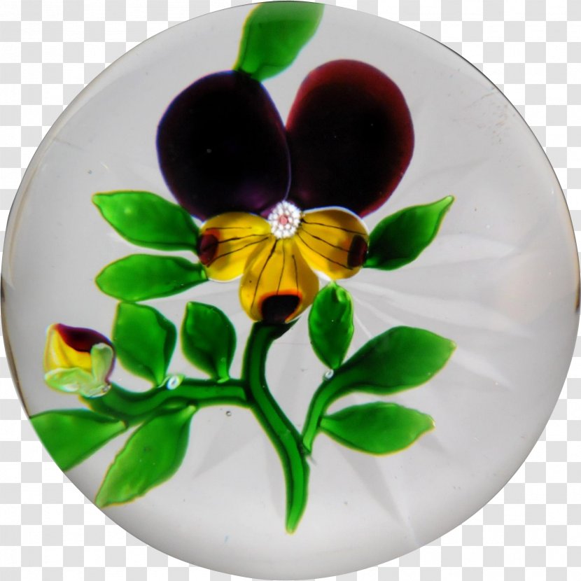 Pansy - Flowering Plant - Dishware Transparent PNG