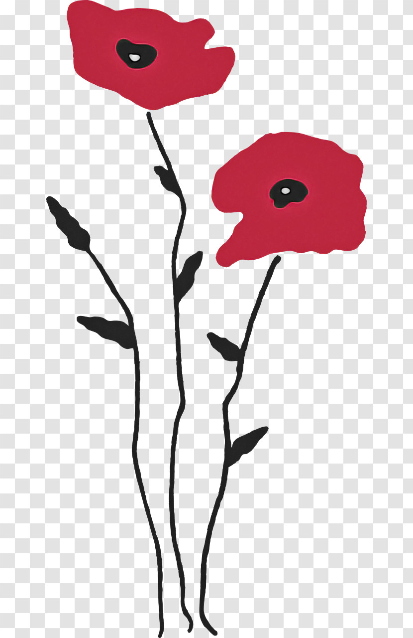 Plant Stem Drawing Poppy Cartoon Transparent PNG