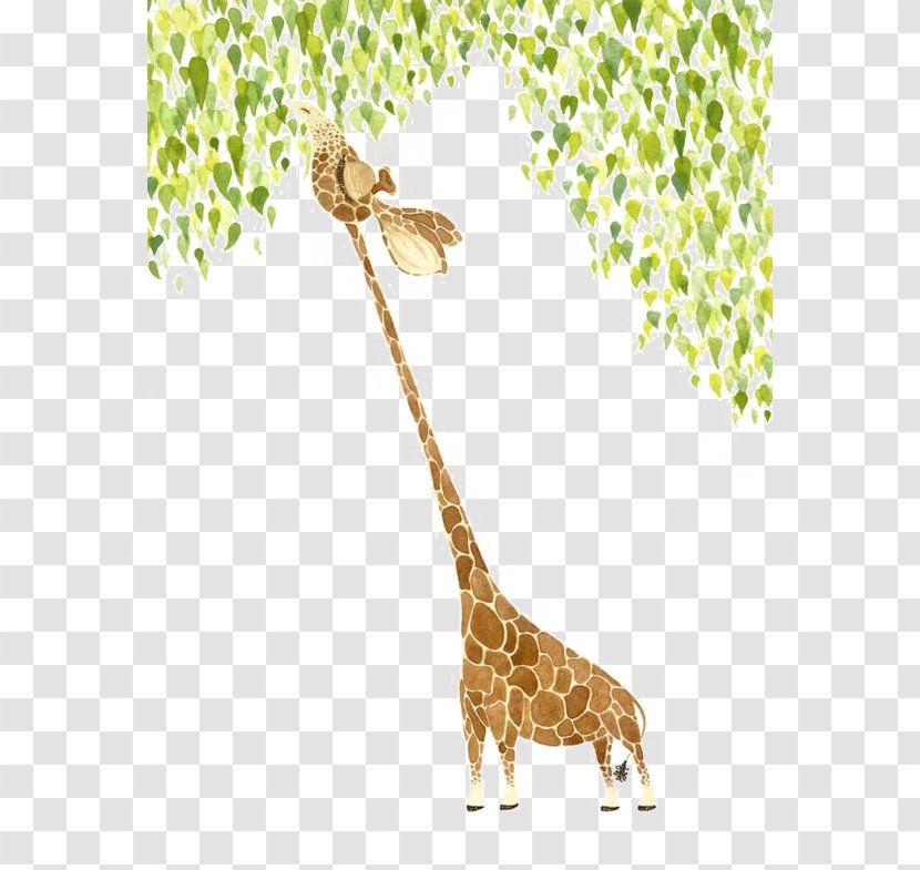 Giraffe Watercolor Painting Illustrator Art Illustration - Animal Transparent PNG