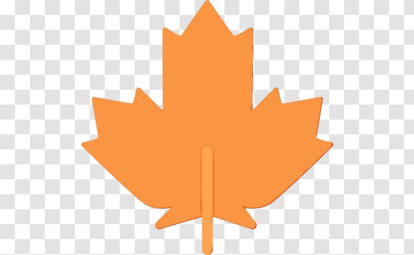 Canada Maple Leaf - Flag - Plane Plant Transparent PNG
