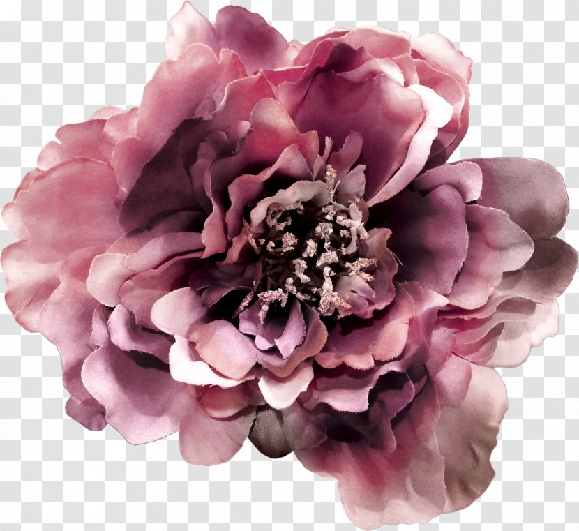 Photography Flower LiveInternet - Cut Flowers Transparent PNG