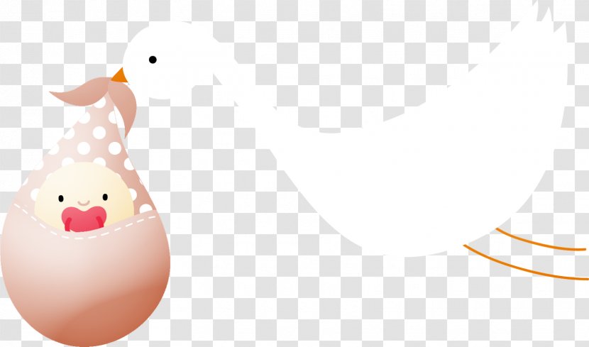 Beak Chicken Clip Art Water Bird Illustration Transparent PNG