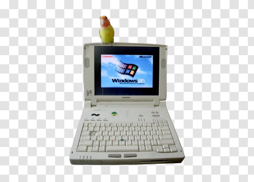 Netbook Laptop Computer Hardware Personal - Handheld Devices - Laptope Transparent PNG