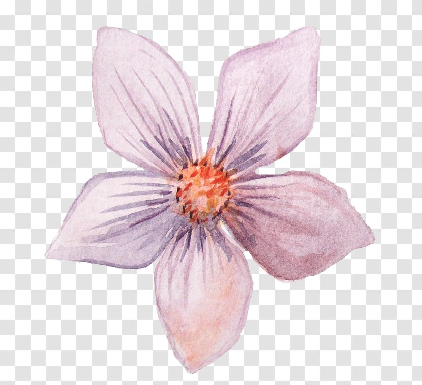 Petal Watercolor Painting Clip Art - Pixel - Flowers Transparent PNG