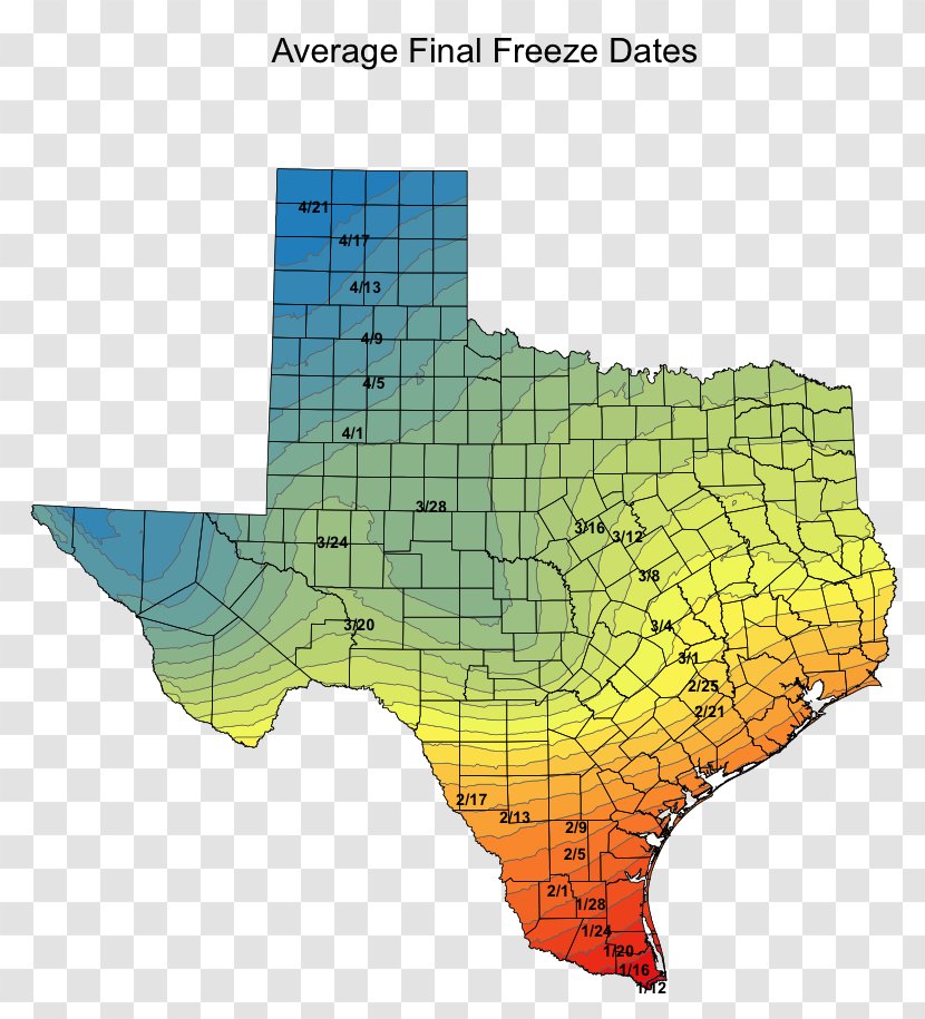 Temperature Texas Sorghum Paper Sowing Transparent PNG