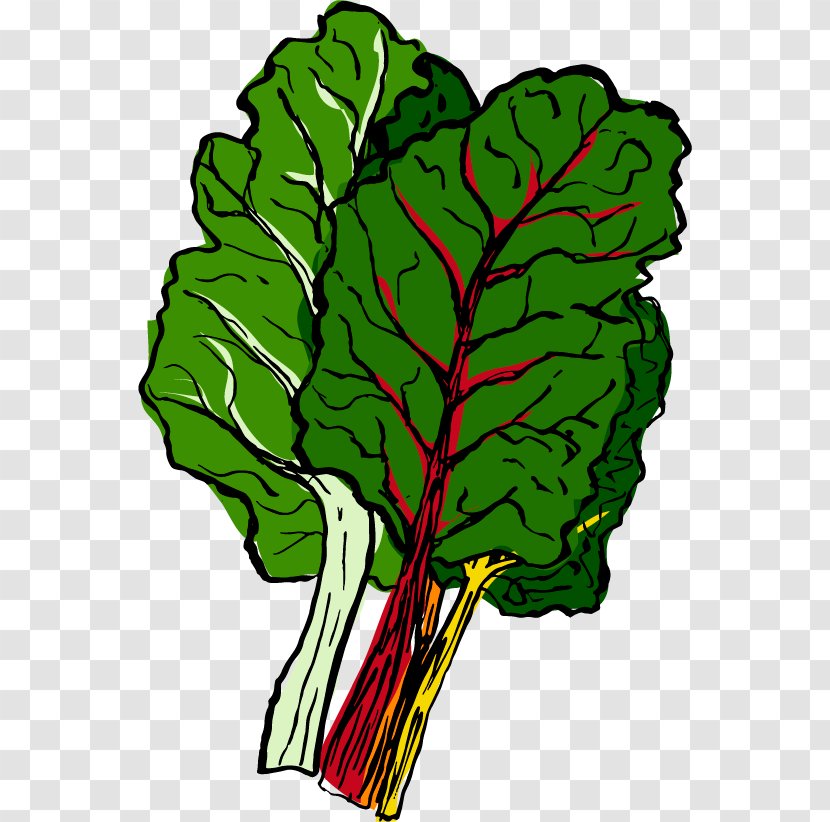 Chard Autumn Spring Food Transparent PNG