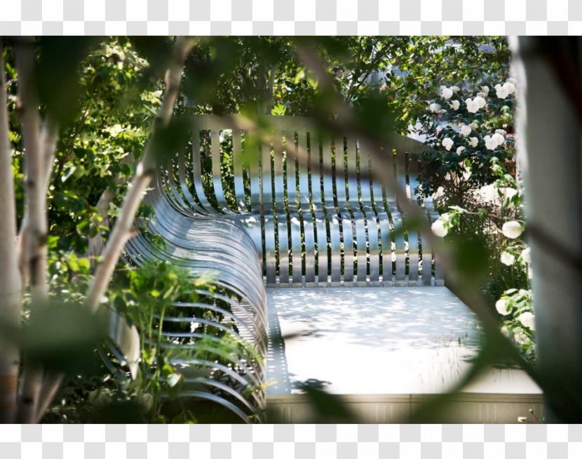 Jo Thompson Landscape & Garden Design Water Feature - Tree - Statue Transparent PNG