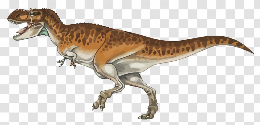 Tyrannosaurus Tyrannotitan Velociraptor Dinosaur - Drawing - Vector Dinosaurs Transparent PNG