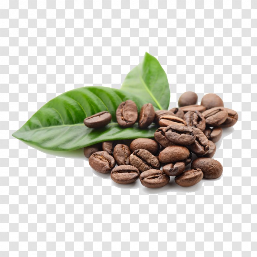 Arabica Coffee Tea Cafe Robusta - Beans Transparent PNG