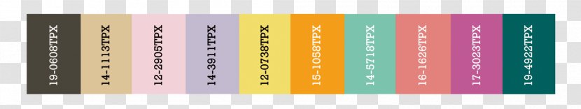 Brand Font - Rectangle - Acetate Transparent PNG