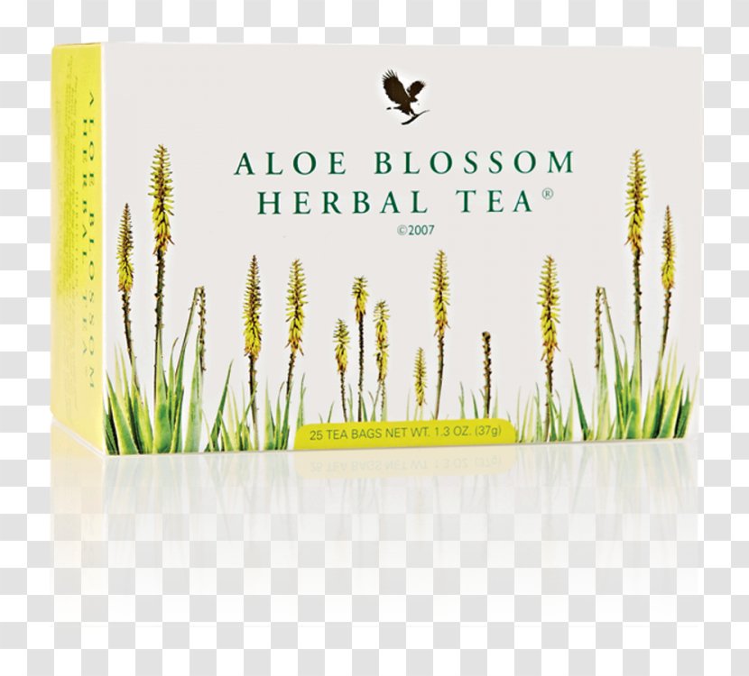Herbal Tea Forever Living Products Aloe Vera - Wheatgrass Transparent PNG