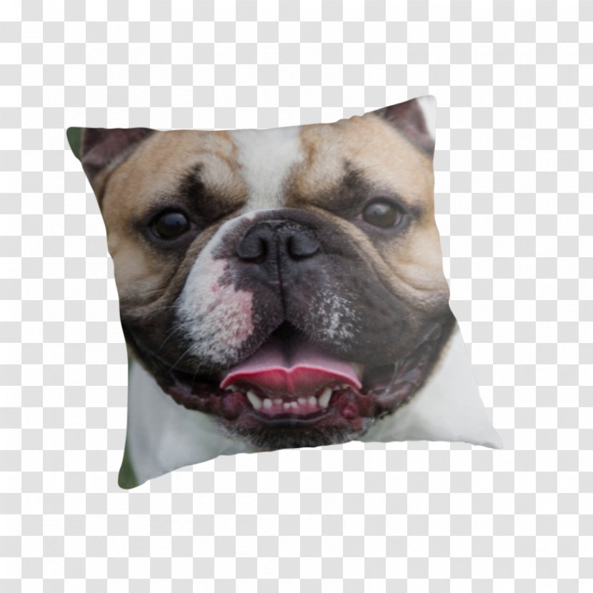 Toy Bulldog Old English Olde Bulldogge Valley Pug - Snout - Pillow Transparent PNG