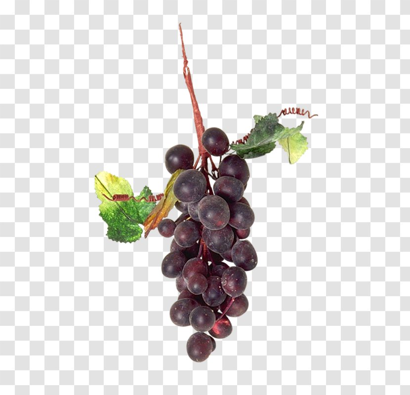 Grape Auglis Zante Currant - Grapevine Family - Bunch Of Grapes Transparent PNG