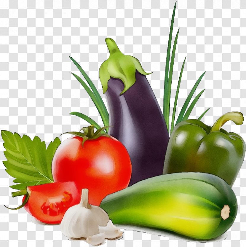 Tomato Cartoon - Cucumber - Eggplant Nutraceutical Transparent PNG