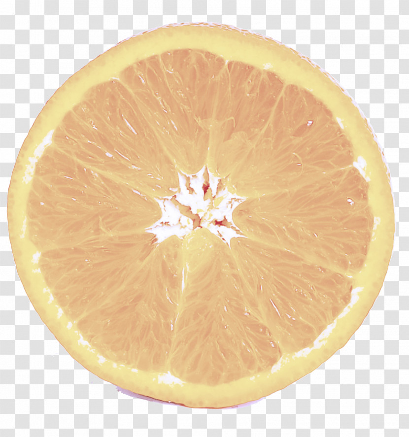 Orange Transparent PNG