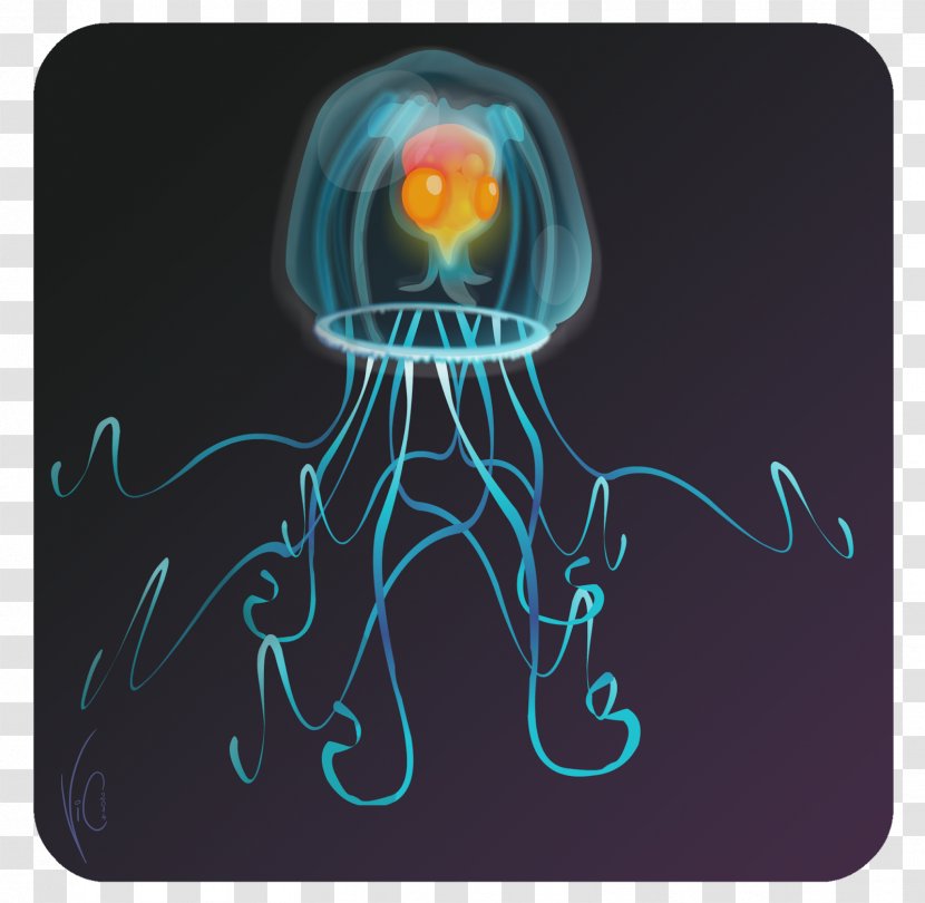 Immortal Jellyfish Turritopsis Nutricula Marine Invertebrates Transparent PNG
