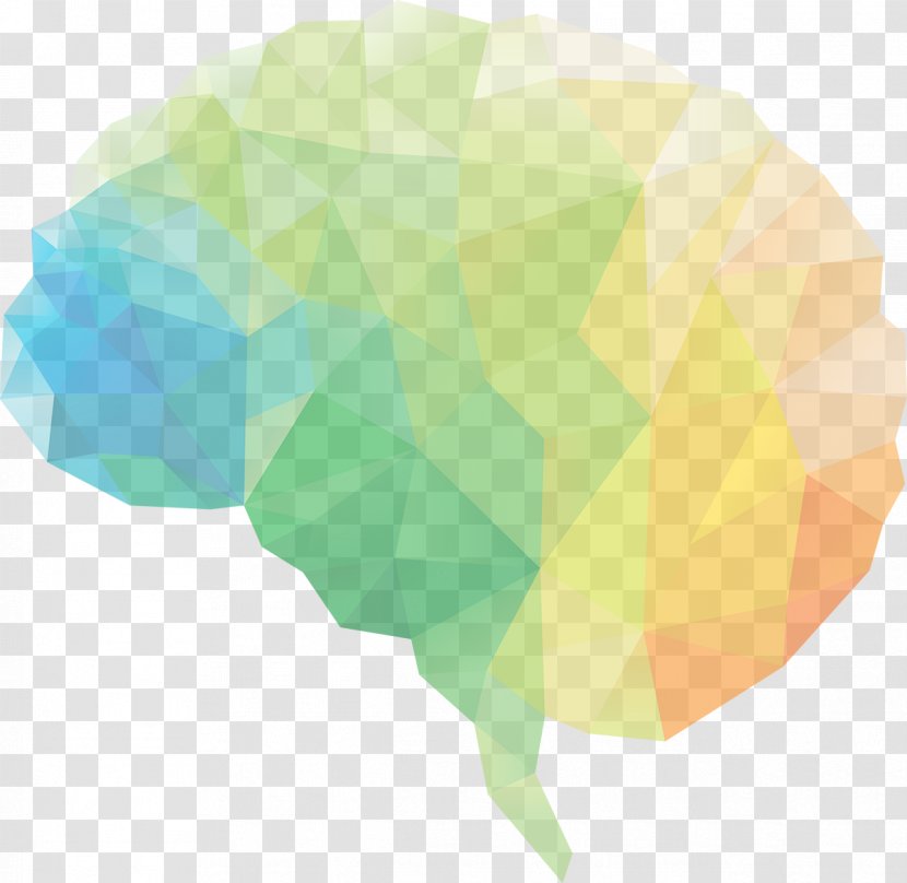 Human Brain Neuroscience Damage Injury - National Academies Press Transparent PNG