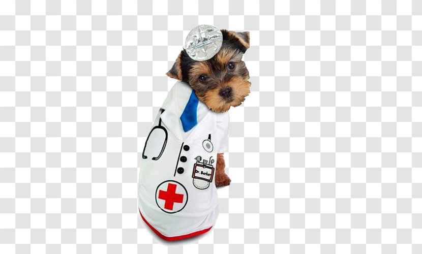 Dog Puppy Halloween Costume - Party - Pet Doctor Transparent PNG