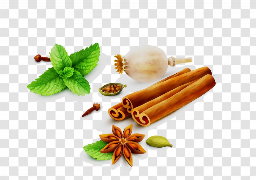 Spice Vector Graphics Portable Network Clip Art Vandy's Kitchen - Plant - Cinnamon Stick Transparent PNG