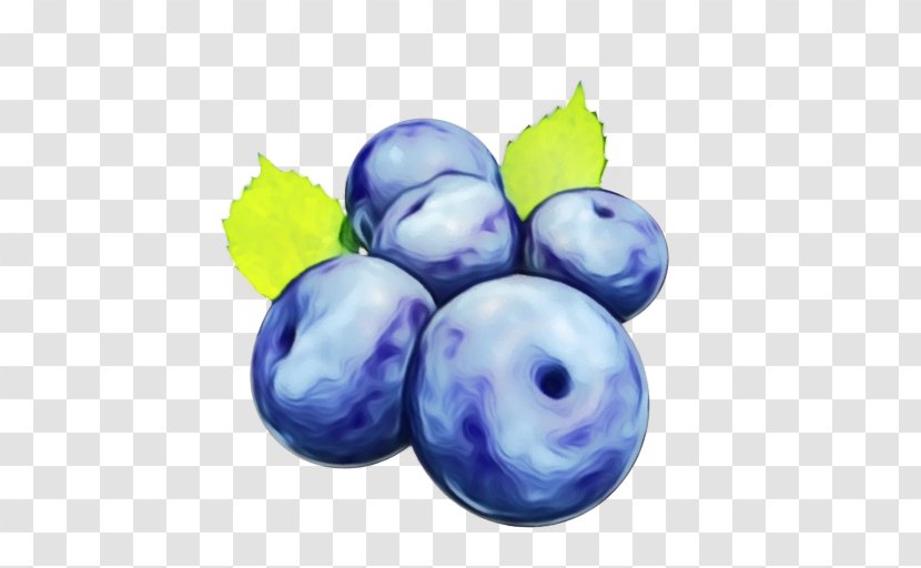 European Plum Fruit Blueberry Berry Plant - Grape Vitis Transparent PNG