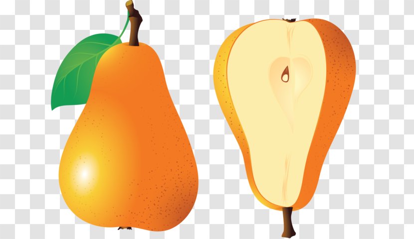 Fruit Photography Clip Art - Pear - Stock Transparent PNG