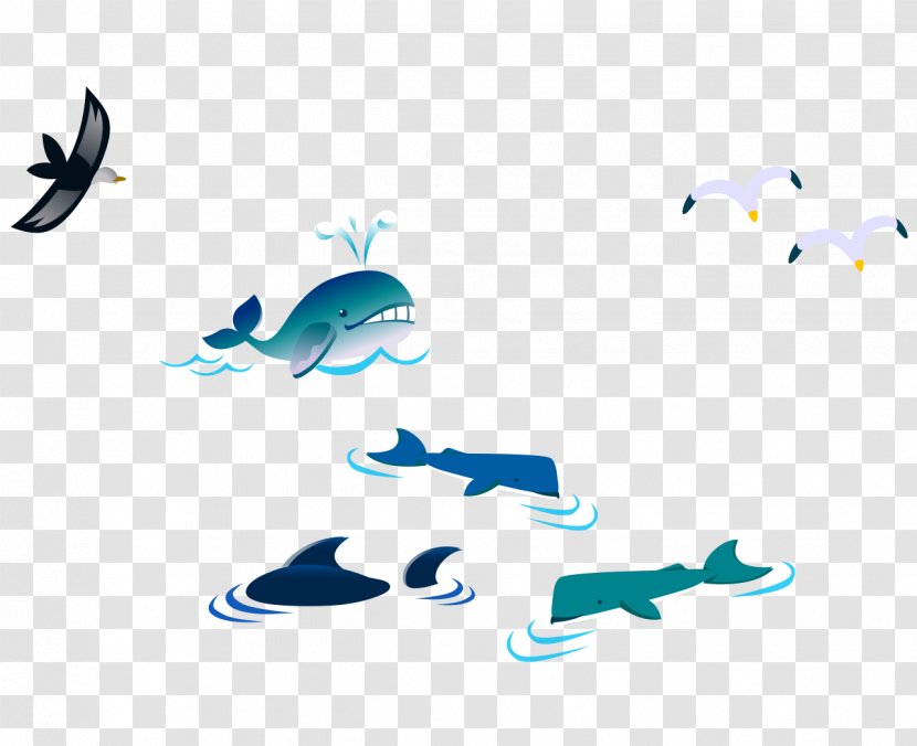 Gulls Bird Cartoon - Blue - Color Vector Whale Seagull Transparent PNG