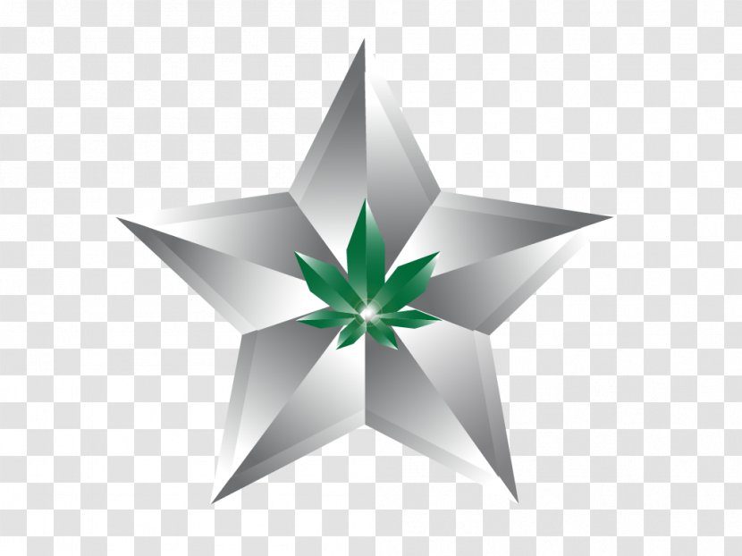 Green Star Plant Logo Transparent PNG