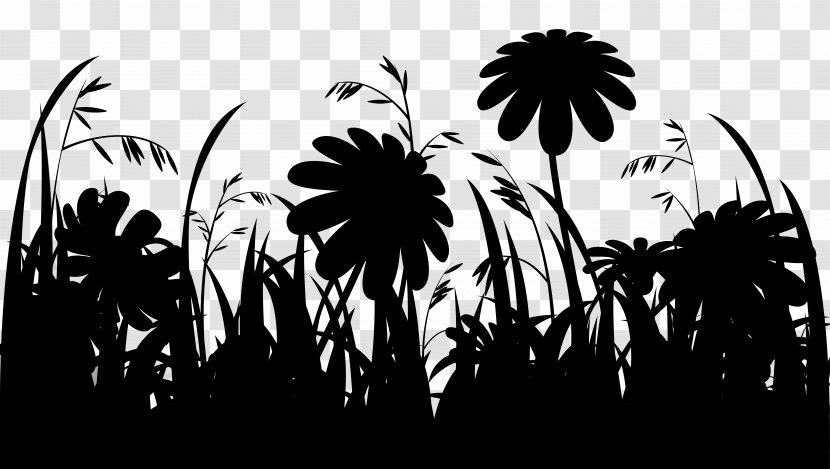 Asian Palmyra Palm Silhouette Desktop Wallpaper Trees Photograph - Branching - Flower Transparent PNG