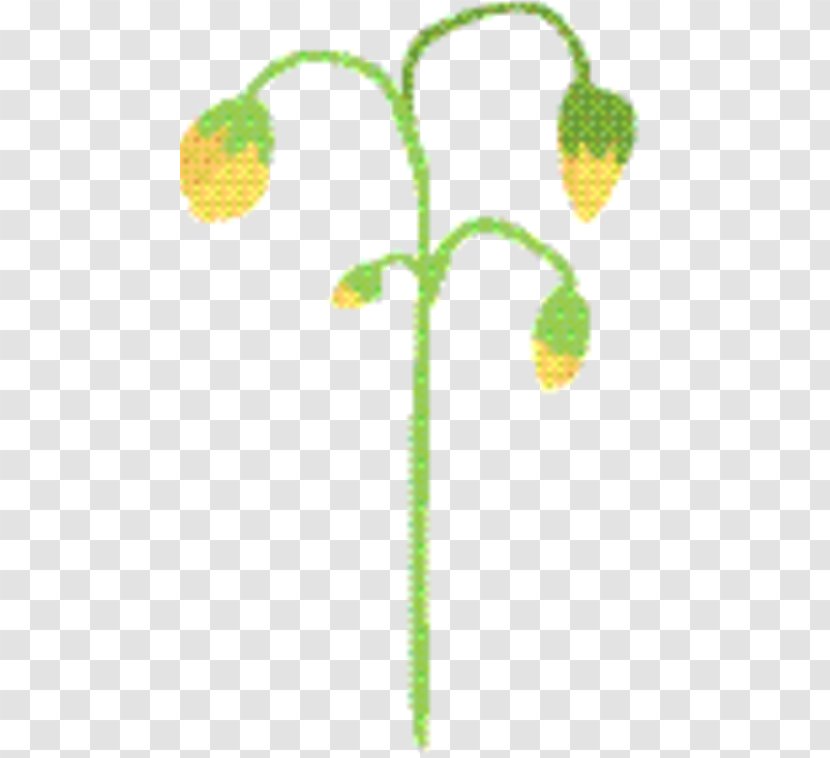 Leaf Branch - Meter - Flower Plant Transparent PNG