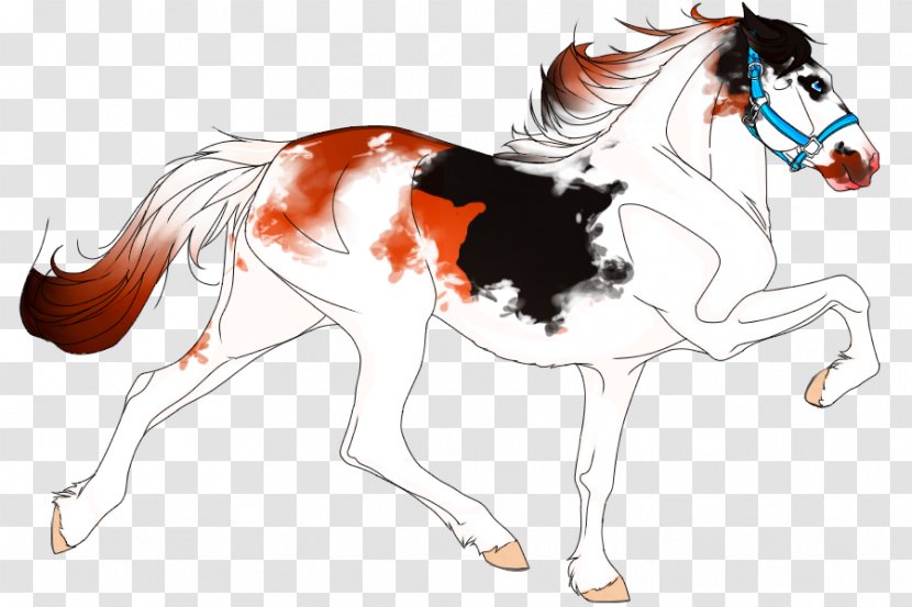 Pony Mustang Mane Sabino Horse Dun Locus - Muscle Transparent PNG