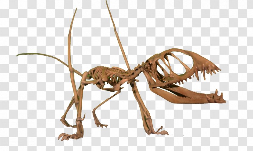 Dimorphodon Pterodactyls Pteranodon Nyctosaurus Pterosaurs - Animal Figure - Sharp Teeth Transparent PNG