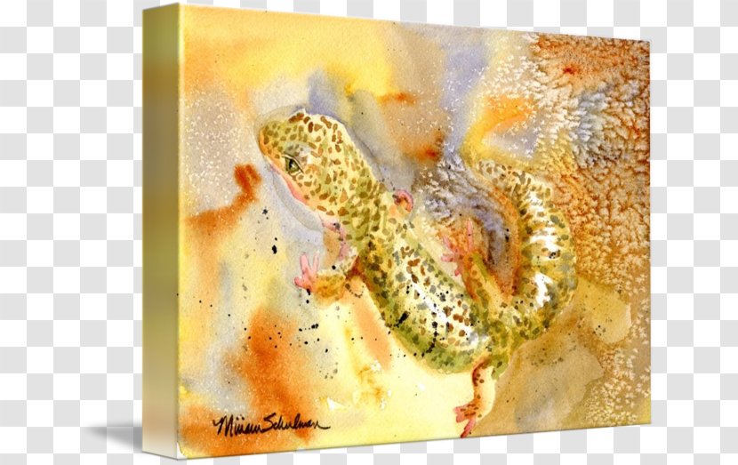 Reptile Animal Organism - Fauna - Watercolor Mark Transparent PNG