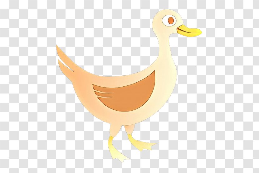 Bird Duck Goose Beak Water - Livestock Waterfowl Transparent PNG