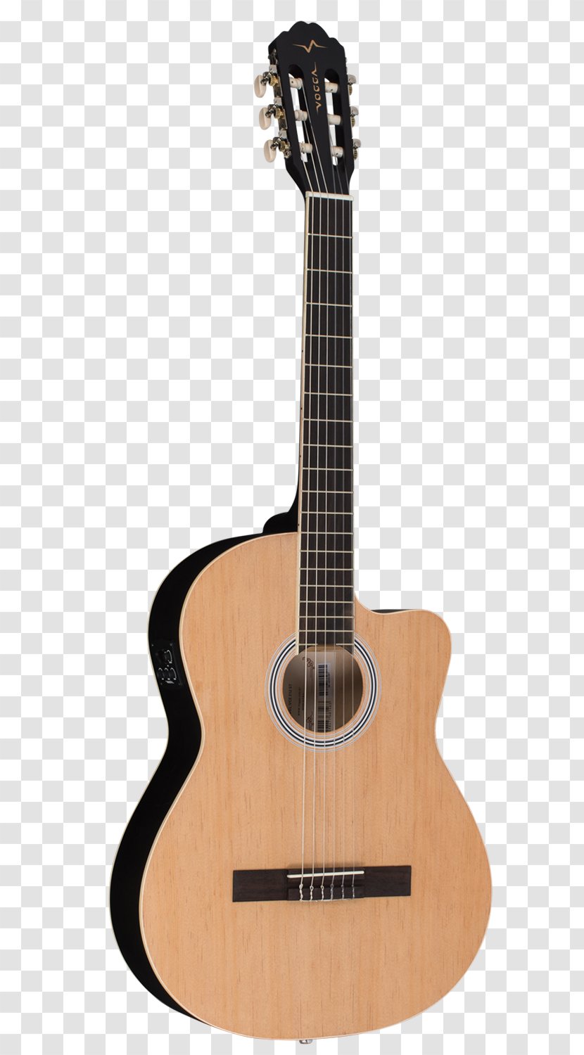 Acoustic Guitar Bass Tiple Cuatro Classical - Watercolor Transparent PNG