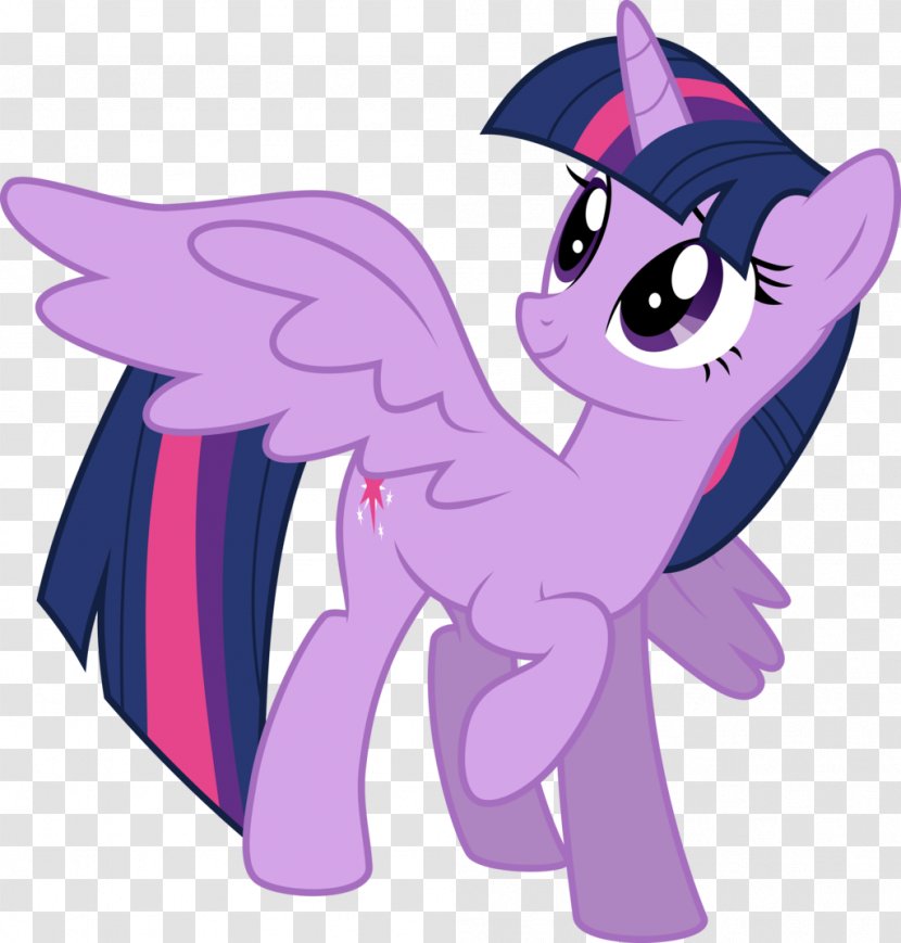 Twilight Sparkle Rarity Princess Celestia Rainbow Dash Pony - Part 1 - My Little Transparent PNG