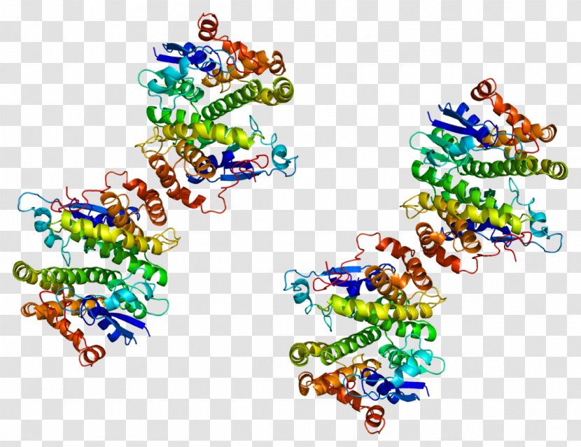 GSTM4 Glutathione S-transferase M4 Protein Enzyme - Gluta Transparent PNG