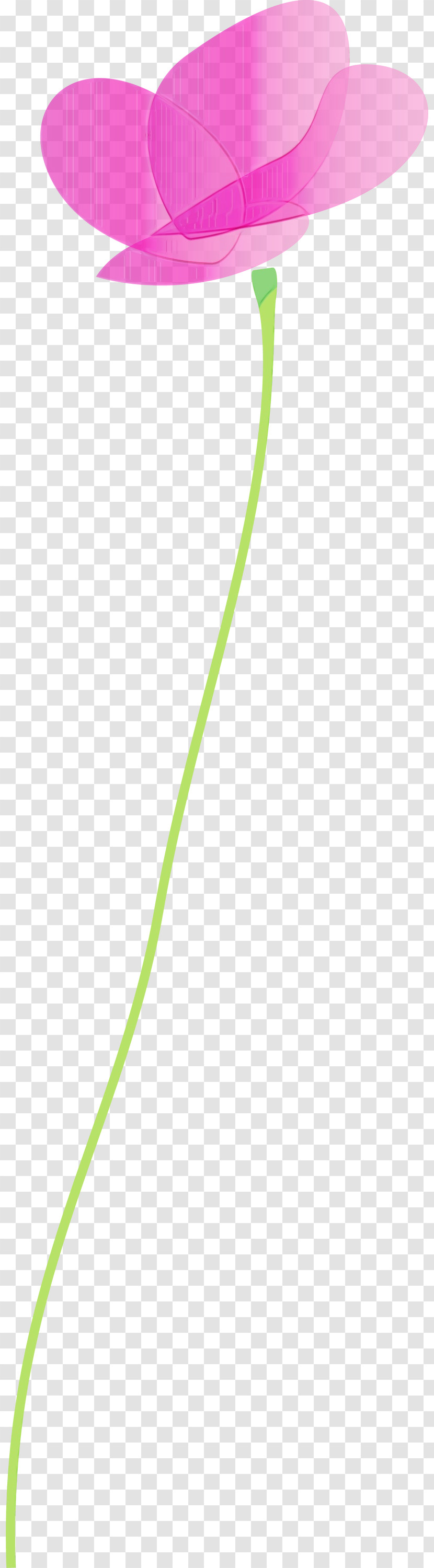 Green Leaf Line Plant Plant Stem Transparent PNG