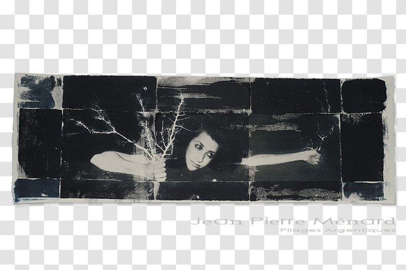 Modern Art Picture Frames Rectangle Transparent PNG