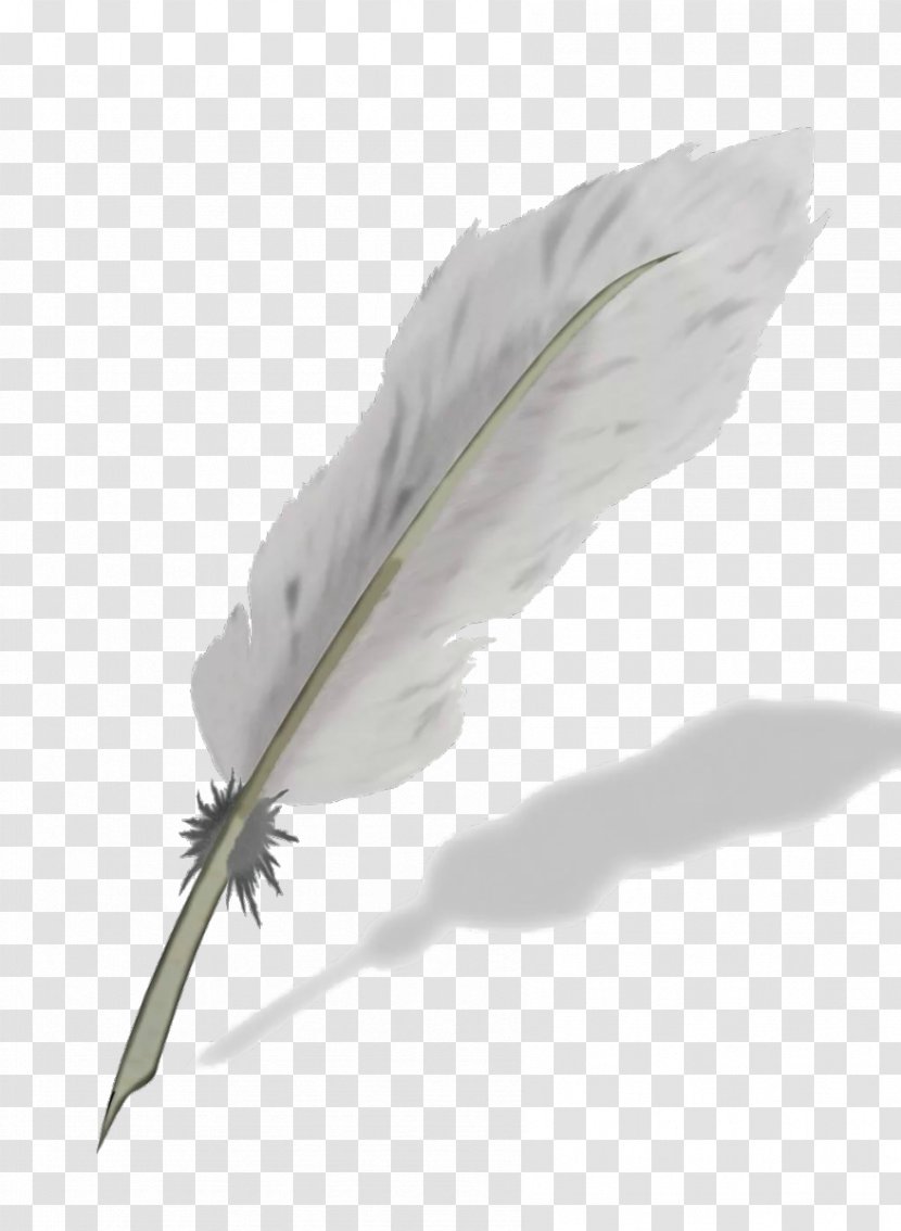 Feather Quill Nib Ballpoint Pen - Wing Transparent PNG