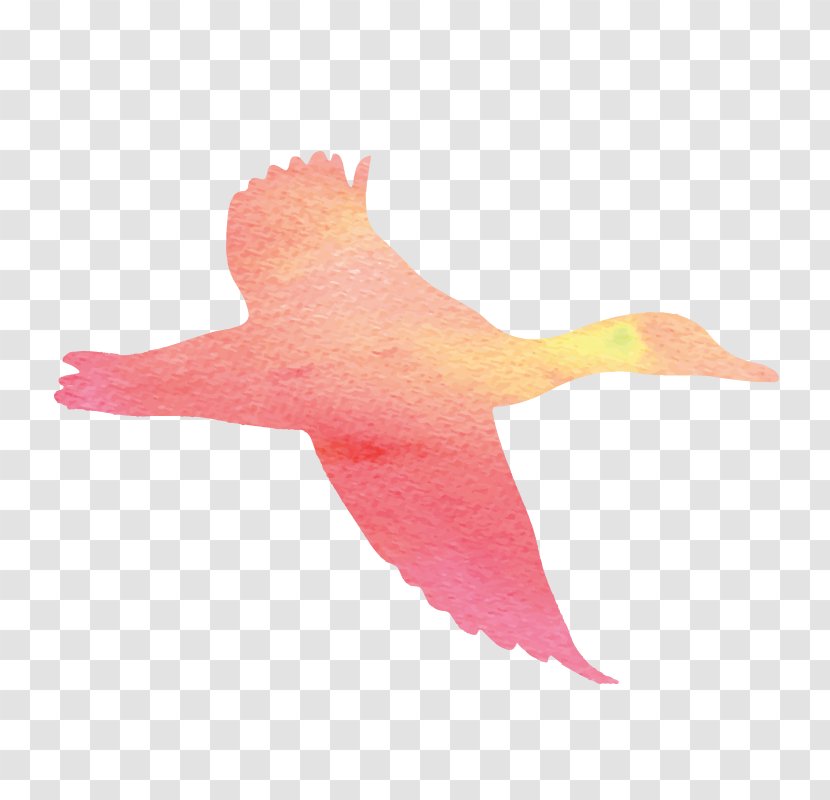 Vector Graphics Image Silhouette Cygnini - Organism - Flying Bird Transparent PNG