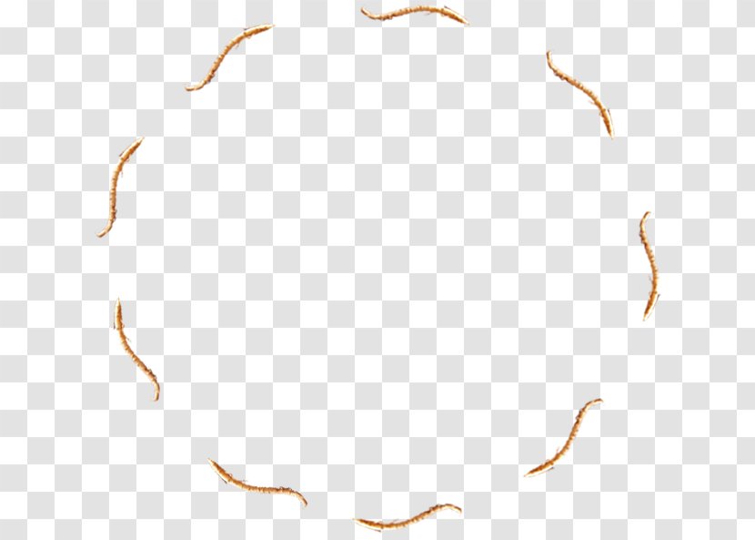 Animal Pattern - Golden Wave Circular Ring Transparent PNG