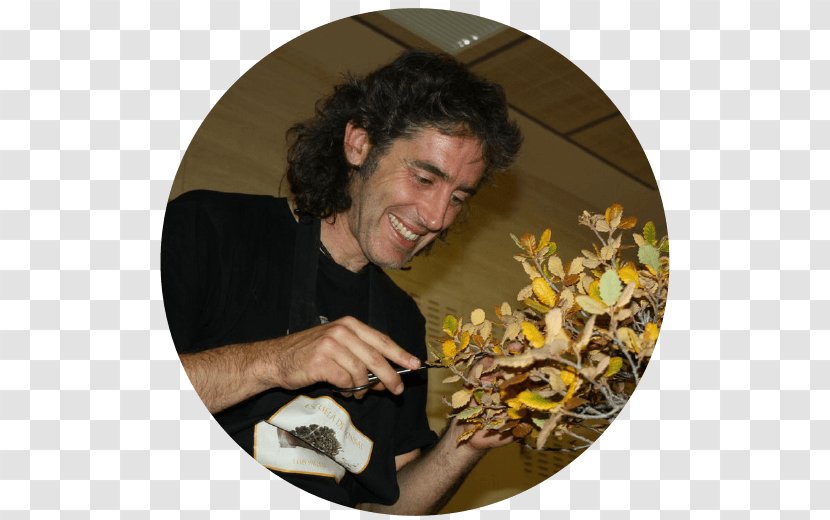 Human Behavior Homo Sapiens - Mistral Bonsai Transparent PNG