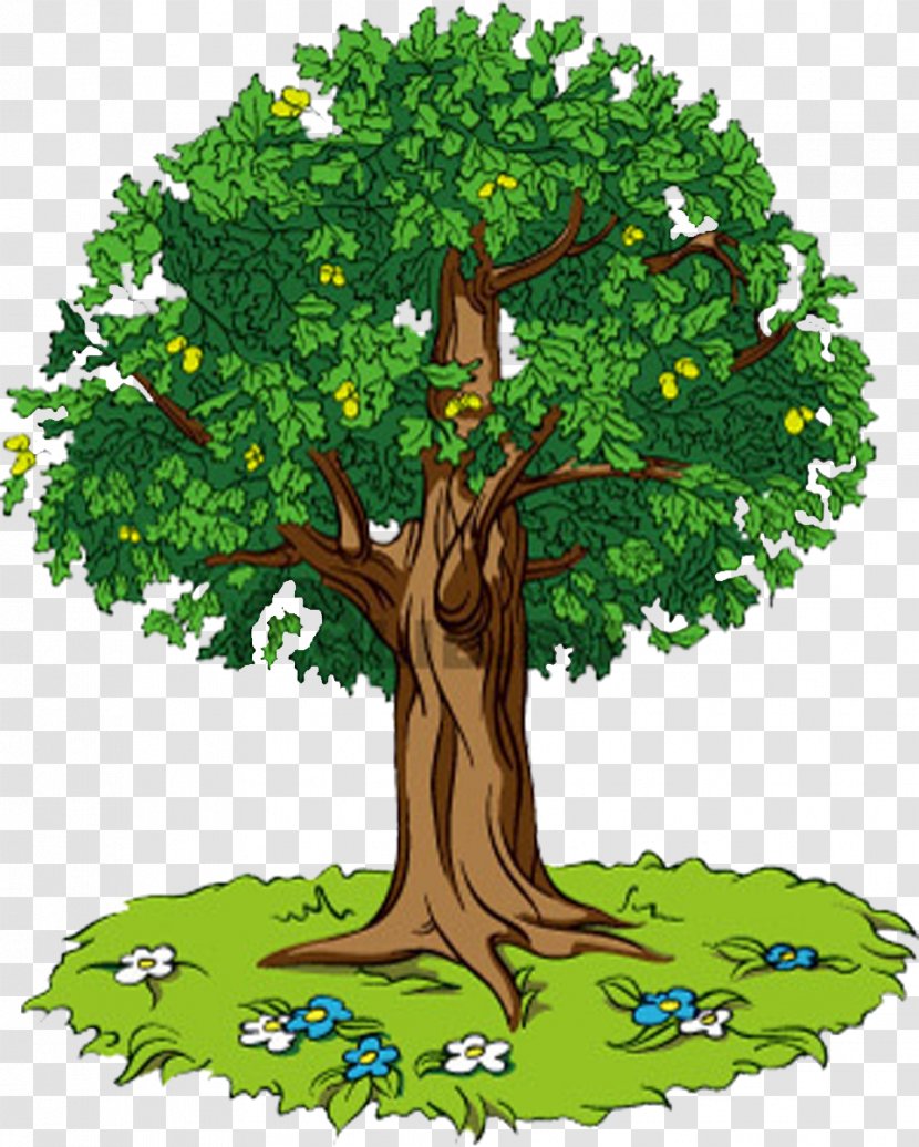 Tree Oak Lesson Self-reflection Knowledge - Houseplant - Bonsai Circle Transparent PNG