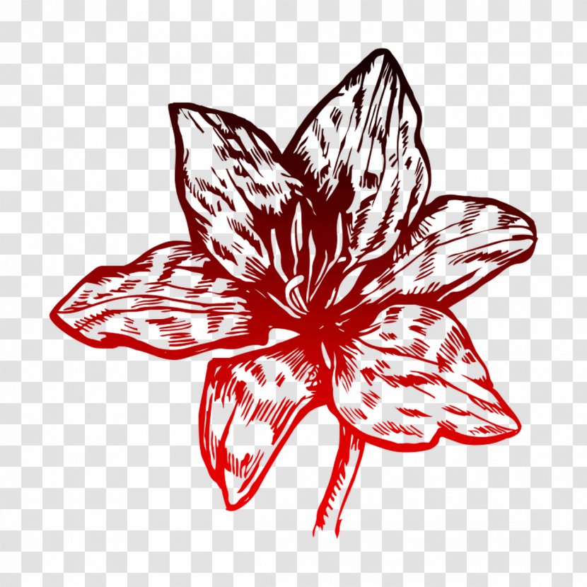 Premium T-Shirt Flower Lily - Stargazer - Blume Transparent PNG
