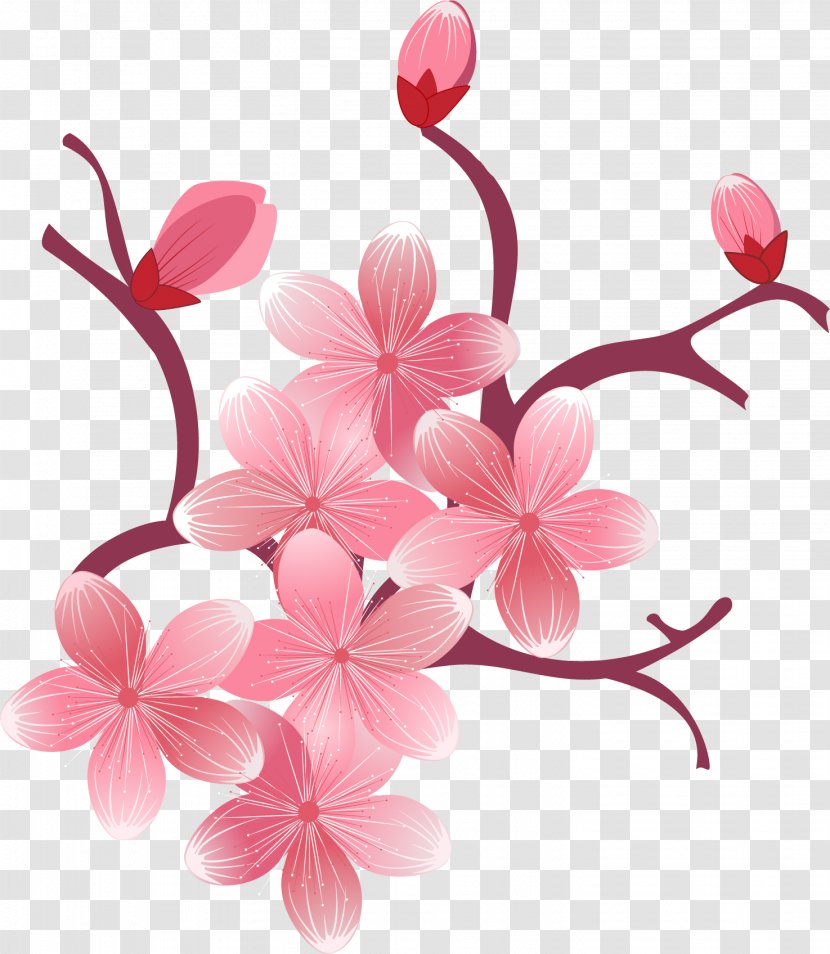 Flower Cherry Blossom Desktop Wallpaper - Color - Spring Transparent PNG