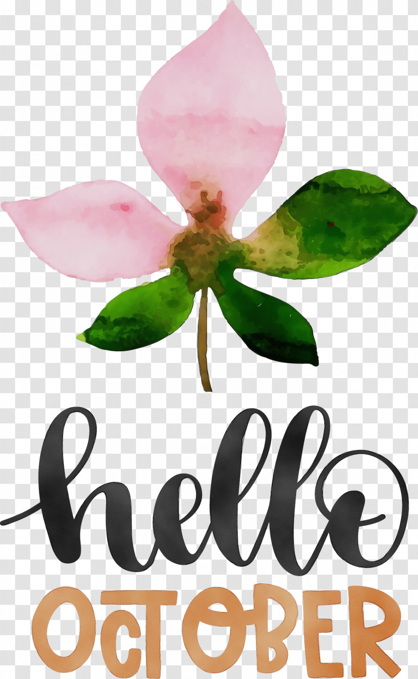 Floral Design Transparent PNG