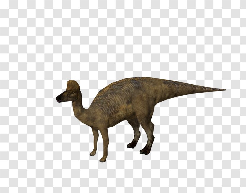 Velociraptor Corythosaurus Jurassic Park: Operation Genesis Hadrosaurus Lambeosaurus - Terrestrial Animal - Dinosaur Transparent PNG