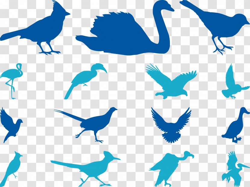 Bird Cygnini Sparrow Goose Beak - Vulture - Blue Birds Silhouette Vector Transparent PNG